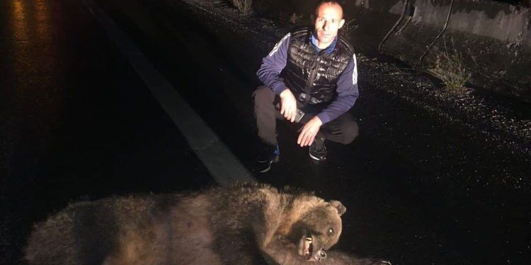 Afrim Isufi rrëfen se si luftoi me ariun në autostradë: E godiste makinën time me grushta, dhe ra në tokë!