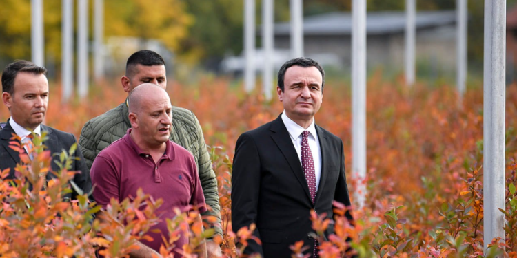 Kurti: Në Kosovë ia vlen fort të mbjellësh, vjelësh e të korrësh