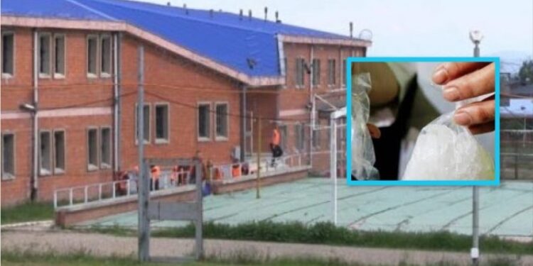 Kapet drogë tek tenderuesi milionësh i Qeverisë, shikoni video e futjes së drogës në kamion