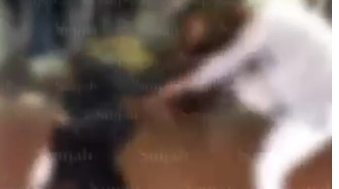 Rrahje brutale mes nxënësve në Gjakovë, bashkëmoshatarët i shikojnë si “spekatorë” (VIDEO)