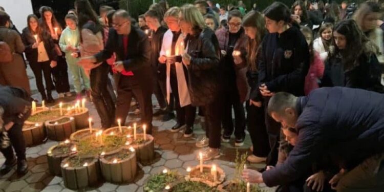 Vrasja e mësimdhënëses, LDK kërkon të reagojë shteti