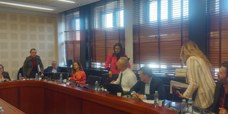 Përplasje në Komision, Rashit Qalaj e quan “papagall” deputeten e VV-së, bashkëpartiakët e saj lëshojnë sallën