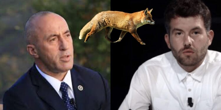 Rron Gjinovci tallet me Ramush Haradinajn: “Dhelpnës kur ju ka kallë bishti ka bërtitë “u kall krejt dyjeja”