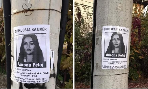 Posterë me fotografinë e Aurona Pelajt, Rrusta e PSD-së kundër: E kuptoj zemërimin, por ky është persekutim
