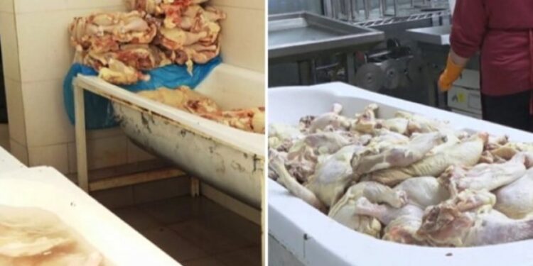 Zbulohet vendi skandaloz ku përpunohej mishi i pulës dhe përdorej për sufllaqe: AKU bllokon 450 kg mish, arrestohet pronari