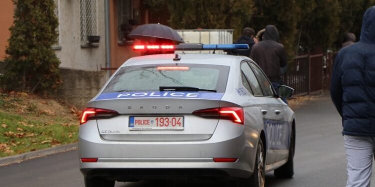Mitrovicasi ushtron dhunë ndaj gruas së tij pasi ajo rrahu djalin e tyre 4-vjeçar