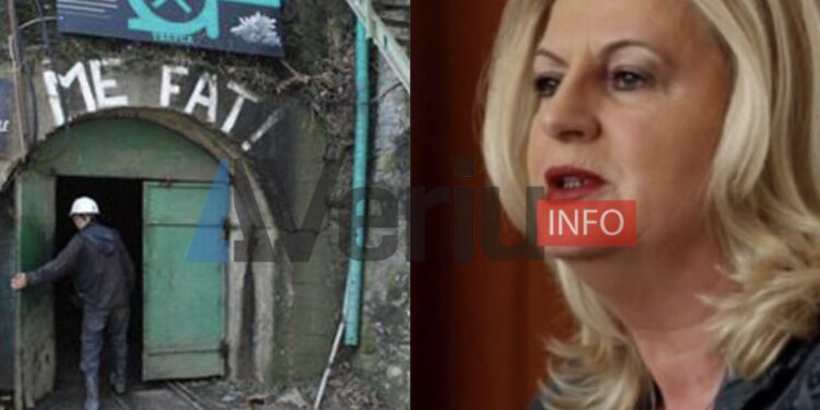 Tahiri: Serbia synon ta ndajë veriun se ka minierën e Trepçës, Kosova ta mbrojë