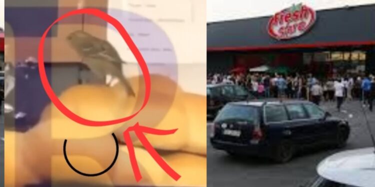 Zogjtë futen në Viva Fresh Store në Skenderaj – Qytetari: “Zogjtë t’u e hangër bukën, tani t’u e marrë myshteria” (VIDEO)