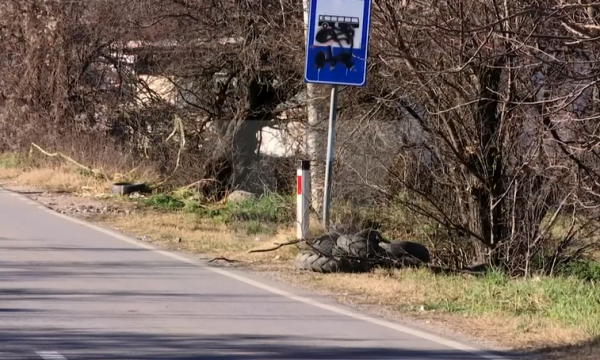 Plagosja në Shtërpcë, flet dëshmitari se si erdhi deri te ngjarja
