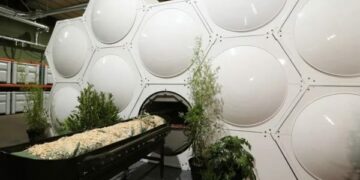 New Yorku lejon shndërrimin e trupave të vdekur në dhe për bimë