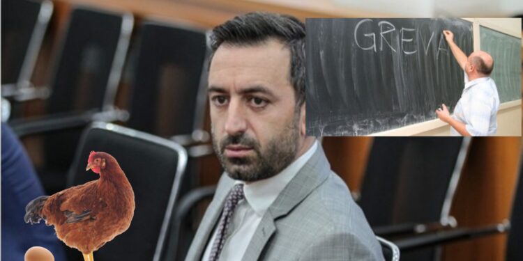 Deputeti i LVV-së tallet më mësimdhënësit, i krahason me pula