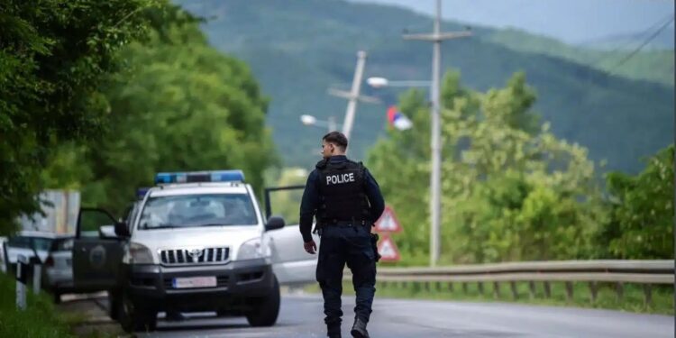 Aksion i Antidrogës në Veri: Kapet rreth gjysmë kilogrami marihuanë, arrestohet një 23-vjeçar