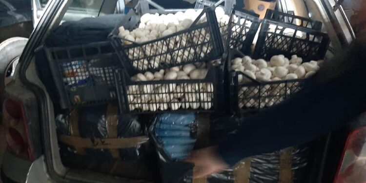 Parandalohet edhe një rast i kontrabandës me mallra në veri të Mitrovicës