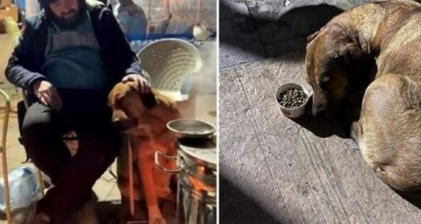 9-vjeçarja doli e pajetë nga rrënojat, qeni i saj ndalon së ngrëni