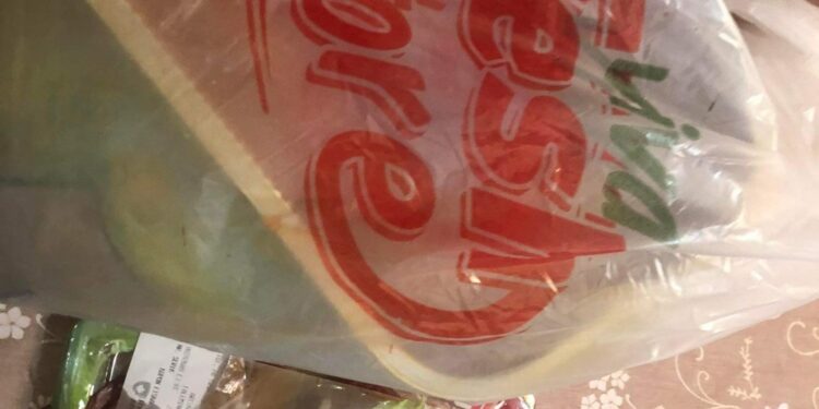 “Viva Fresh Store” shet produkte të mykura (Foto)