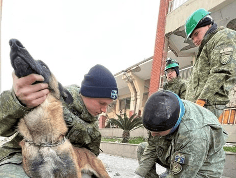 Qeni i FSK-së lëndohet në Turqi, merr ndihmën mjekësore