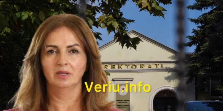 EKSKLUZIVE: Katër anëtarët e Këshillit Drejtues të UP-së që i kishte dërguar MASHT-i, ushtruan këto poste në kundërshtim me Ligjin