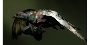 Si kanë spiunur shtetet njëri-tjetrin nga ajri gjatë historisë