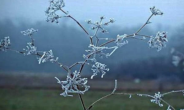 Temperaturat pritet të bijnë nën zero këtë ditë, ja parashikimi për këtë javë