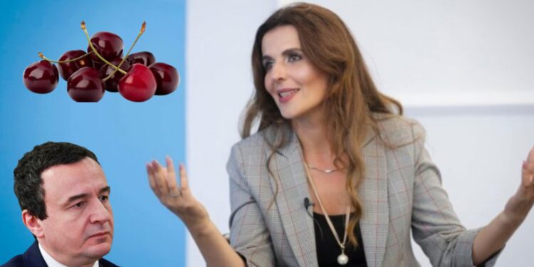 Çitaku thumbon Kurtin: Studimet e fundit thonë se qershiat janë ushqimi i preferuar i luanit