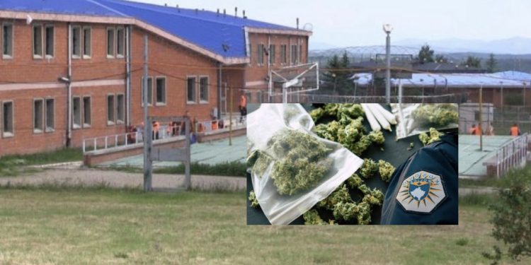 E pazakontë: Gruaja tentoi të fuste narkotikë në burgun e Dubravës, e përpiu për të mos u kapur nga zyrtarët