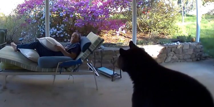Ariu “befason” një burrë që ishte duke u relaksuar në shtëpi (VIDEO)