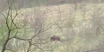 Arusha filmohet teksa i afrohet një shtëpie në pjesën veriore të Kosovës