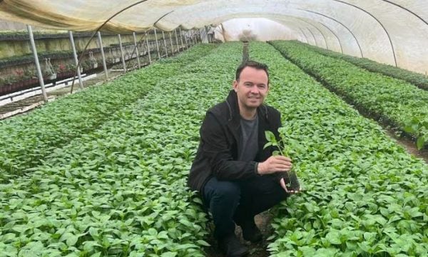 Peci premton përkrahje për bujqësinë organike: 100 euro shtesë për secilin hektar të mbjellur