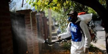 Përhapet një virus nga mushkonjat në Argjentinë, mbi 40 të vdekur