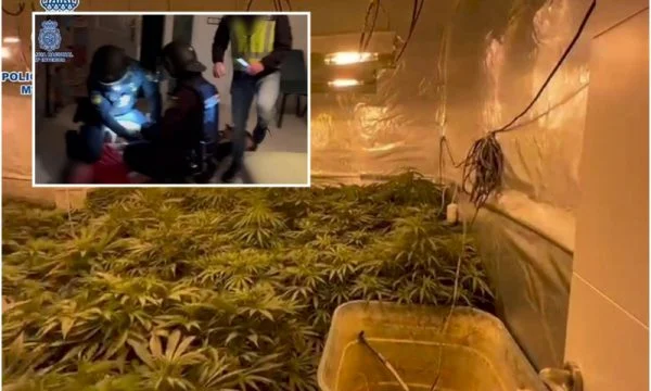 Ç’montohet grupi kriminal në Spanjë, në pranga 12 shqiptarë (VIDEO)