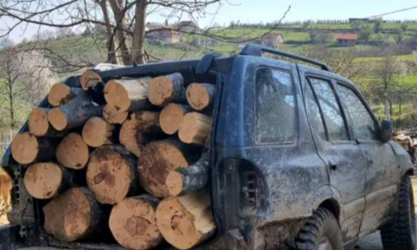 Policia zë një 17-vjeçar duke transportuar drunjë ilegalisht në Brod
