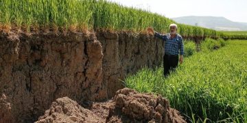 Toka bujqësore ndahet në dysh, njëra pjesë ulet me 2 metra pas tërmetit