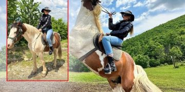 Në pritje të princit, i vije kali, i bën vaki ish-miss Kosovës