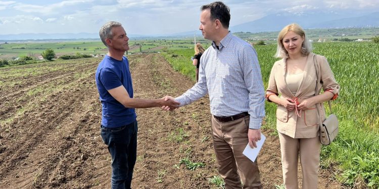 Pagesat për subvencione në bujqësi, inspektime e kontrolle të mëdha në teren