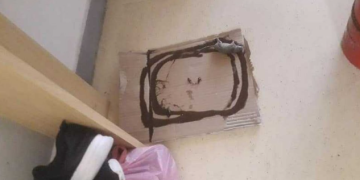 Kushte të tmerrshme në një shkollë në Podujevë, minjtë kapen në kurth me ngjitës për t’i larguar nga nxënësit