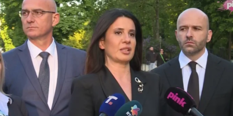 Deputetja e Vuçiqit: Derisa e prezantova statutin e Asociacionit, Kurti e Bislimi gjuanin fjalë