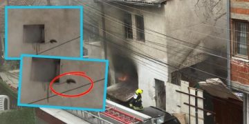 Shtëpia u përfshi nga flakët në Prishtinë, momenti kur minjtë kërcejnë nga dritarja për t’i shpëtuar zjarrit