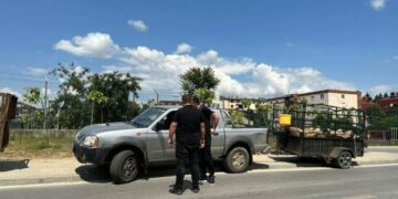 Kurban Bajrami/ Prishtina ndalon shitjen dhe therjen e kurbanëve në rrugë e hapësira publike