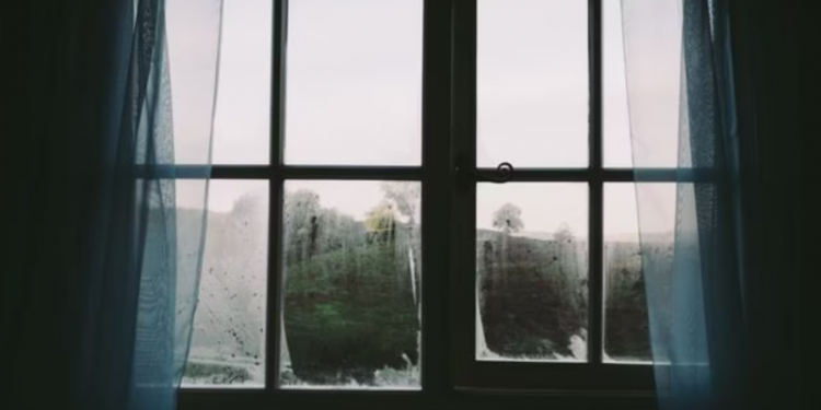 Ky është vendi ku të rinjtë nuk po dalin më nga shtëpia