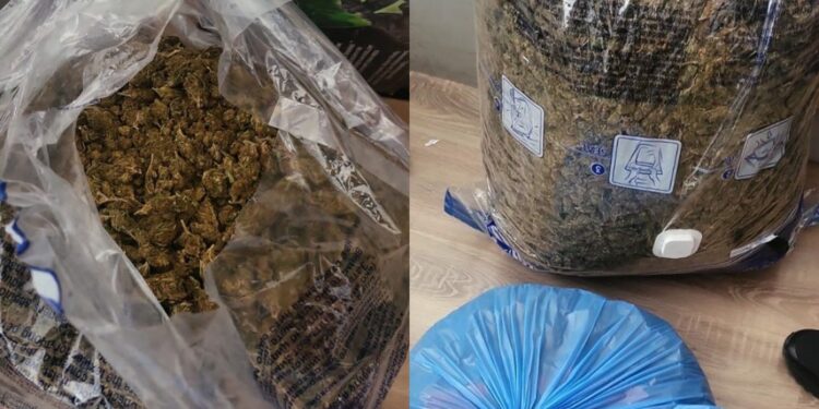 Arrestohen dy persona në Prizren, iu gjetën mbi 10 kg marihuanë