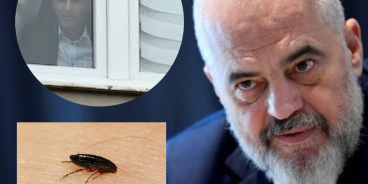 Rama e quan Lulzim Hetemin Oso Kuka: Për një plesht po digjet jorgani (VIDEO)