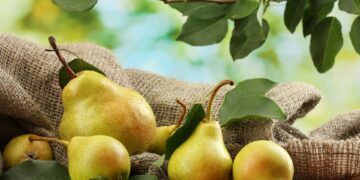 Disa arsye pse dardhat janë të mira për shëndetin tuaj