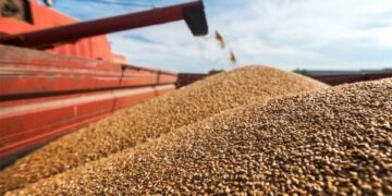 Çfarë pasojash ka pezullimi nga Moska i marrëveshjes për drithërat ukrainase