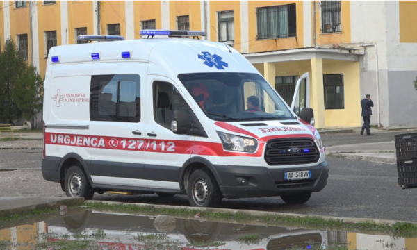 Dalin detaje të reja, pushuesit në Shëngjin dyshohet se u helmuan nga spreji për dezinsektimin e mushkonjave