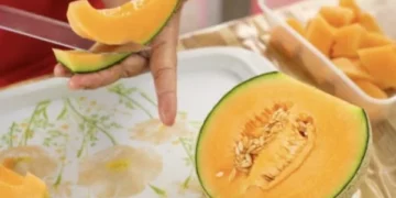 Dobitë shëndetësore të pjeprit