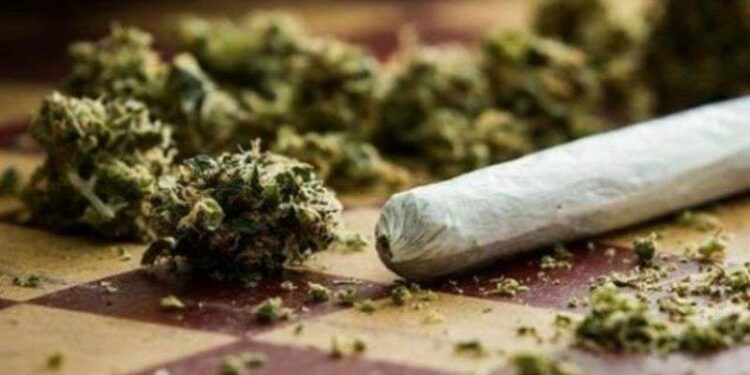 Sekuestrohen substanca narkotike, nëntë persona të dyshuar