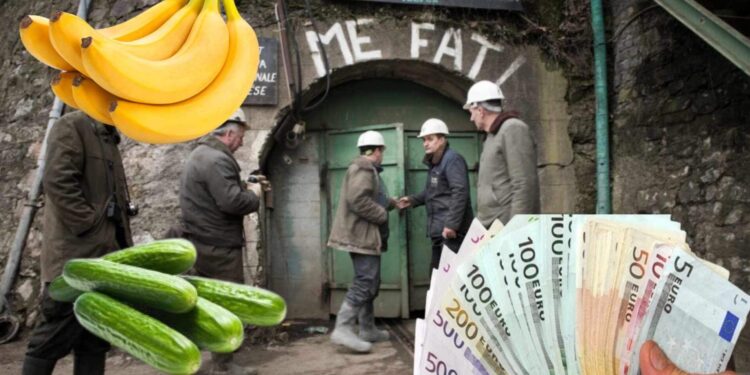“Banane e Kastraveca”, Trepça rrogat i ndal por jo edhe tenderet, sot e nënshkroi një kontratë afer 100 mije eurosh