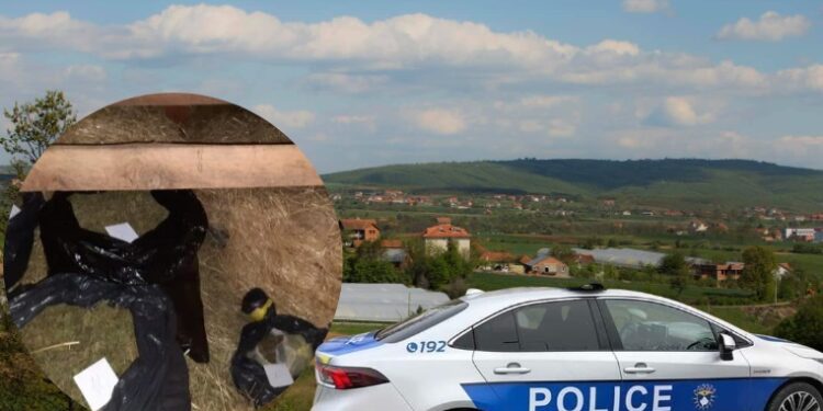 SKENDERAJ: Ky është 28-vjeçari qe ju gjetën në pleme të lopëve mbi 59 kg marihuanë, jetonte në kurbet