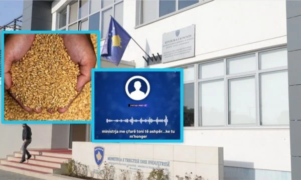 Afera gruri’: Përgjimi i ri që zbulon në detaje si u orkestrua kjo aferë