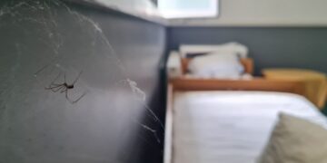 Në kushte të mjera, Pediatria në Mitrovicë të Jugut pret objektin e ri